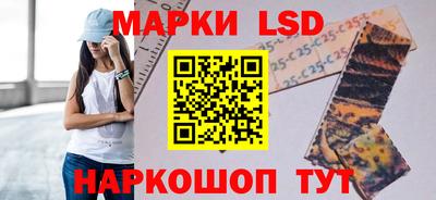 индика Аргун