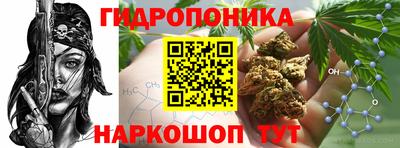 индика Аргун