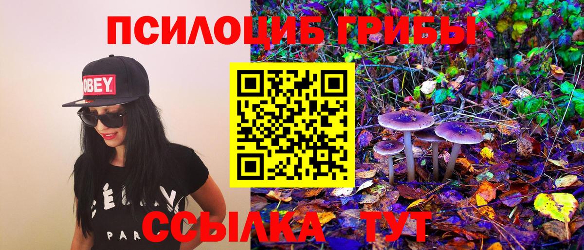 Балабаново  Галлюциногенные грибы мицелий  даркнет сайт  Вход с VPN  Галлюциногенные грибы прущие грибы 
