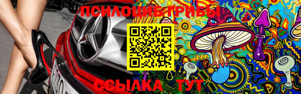 Псилоцибиновые грибы мицелий Балабаново